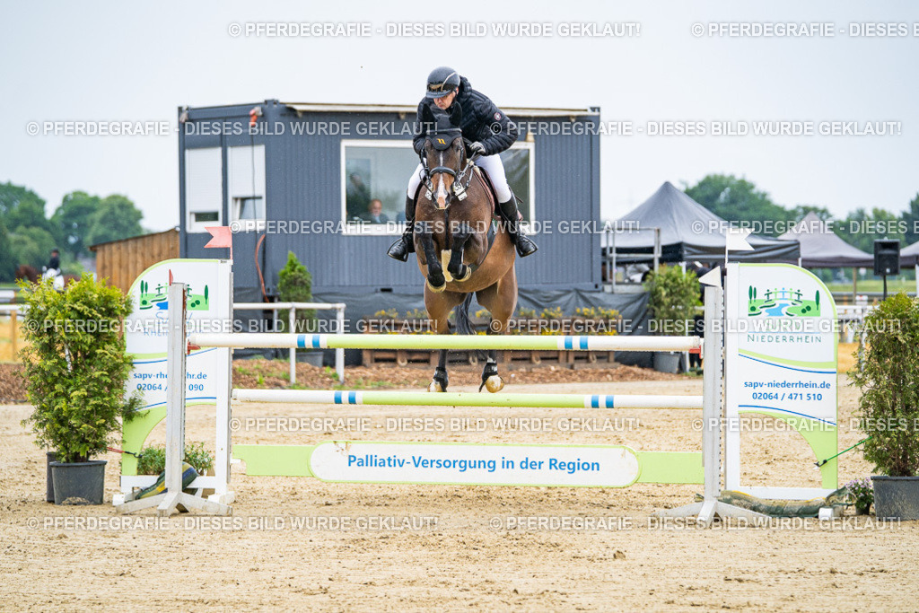 DSC09047 | Pferdegrafie