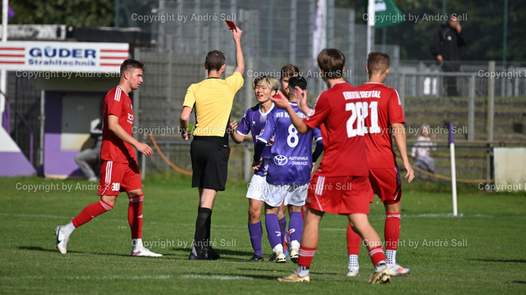 VfR Neumünster vs SpVg Eidertal Molfsee | Gelb-Rote Karte durch Schiedsrichter Jan-Christian Meyer gegen Rin Yoshimatsu (VfR #2) - Fußball-Oberliga Männer 2024/2025 / VfR Neumünster vs SpVg Eidertal Molfsee / VfR-Stadion / Neumünster / 29.09.24 - Realisiert mit Pictrs.com