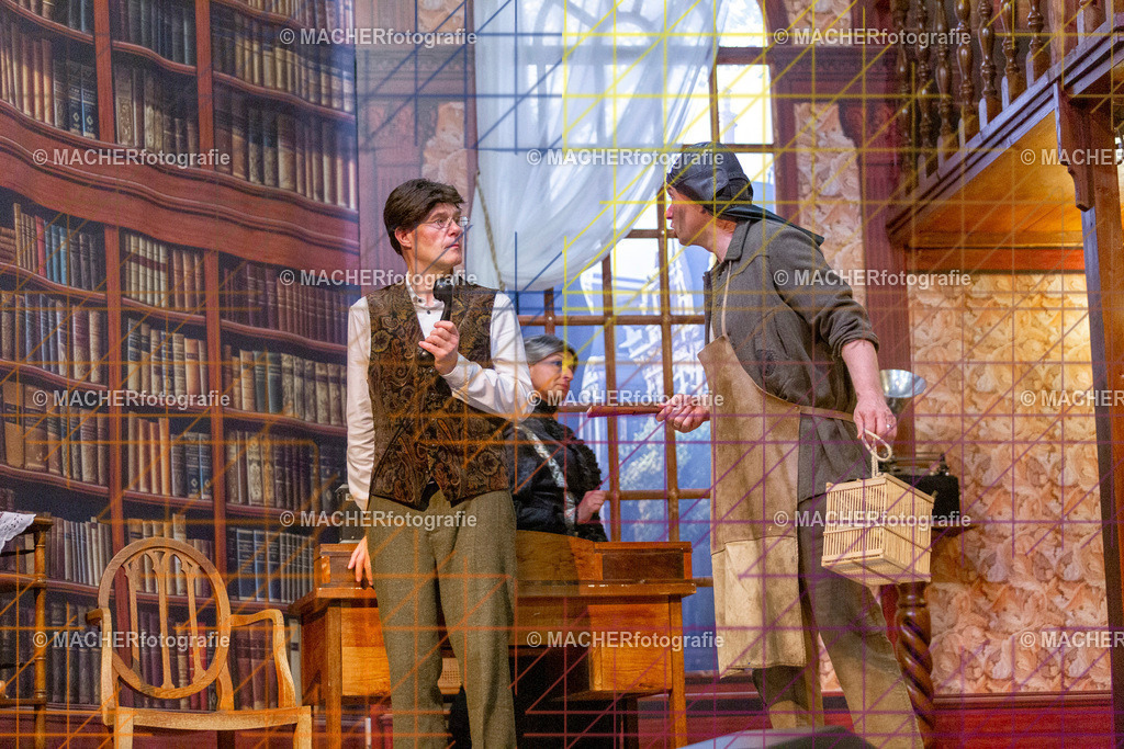 175_MFL-2025 | Portraitbilder von Regisseur; Darsteller; Techniker; Maske; Kostüme; Chor; Musiker; Bilderserie der Generalprobe und der Premierenvorstellung, Szenenbilder; Ausdrucksstudien; Bühnenüberblick; Bühnenkulissen; Pressefotos inkl. Redaktionsfoto Darstellergruppe.