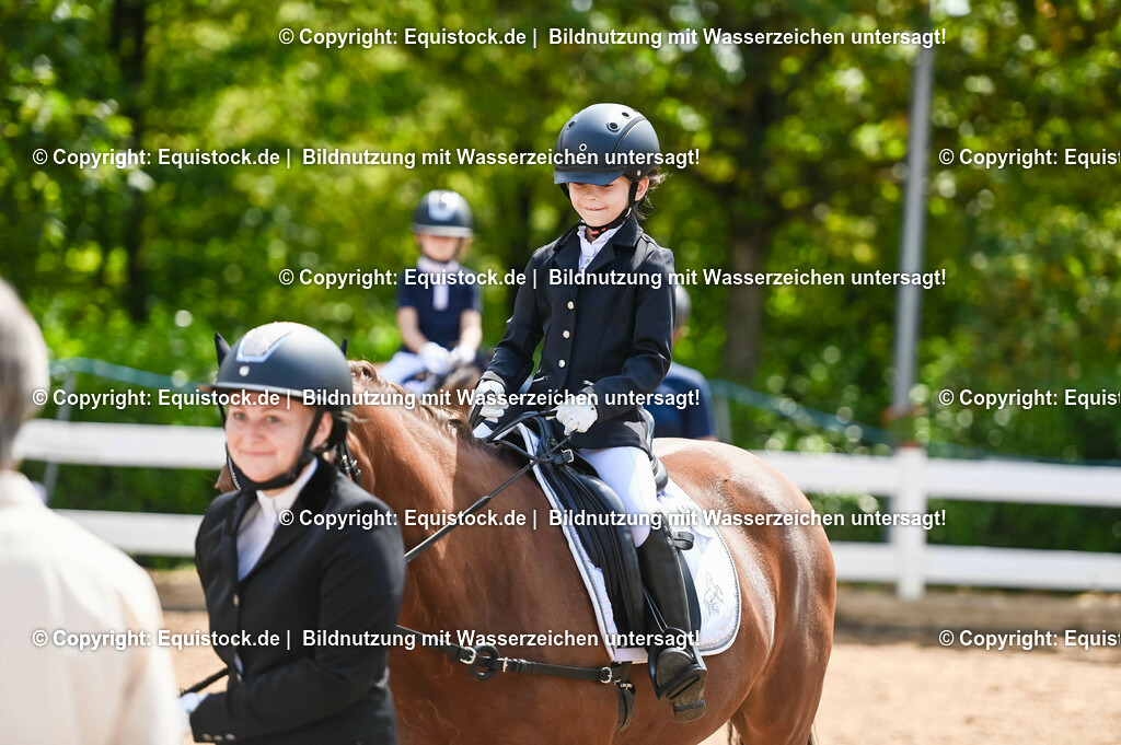 20230716_11_Führzügel-WB_0238 | equistock