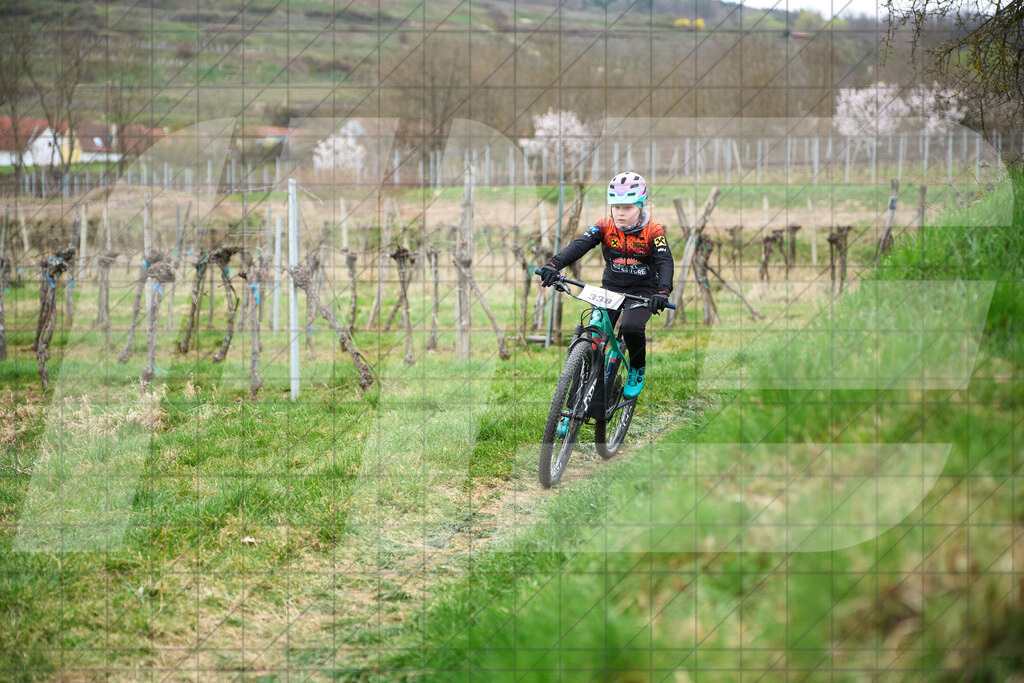 34. KTM Kamptal Trophy  | ZÖBING, Österreich – 2026-03-28: 34. KTM Kamptal TrophyFoto: © 2026 Martin Bihounek - MB Creative e.U.