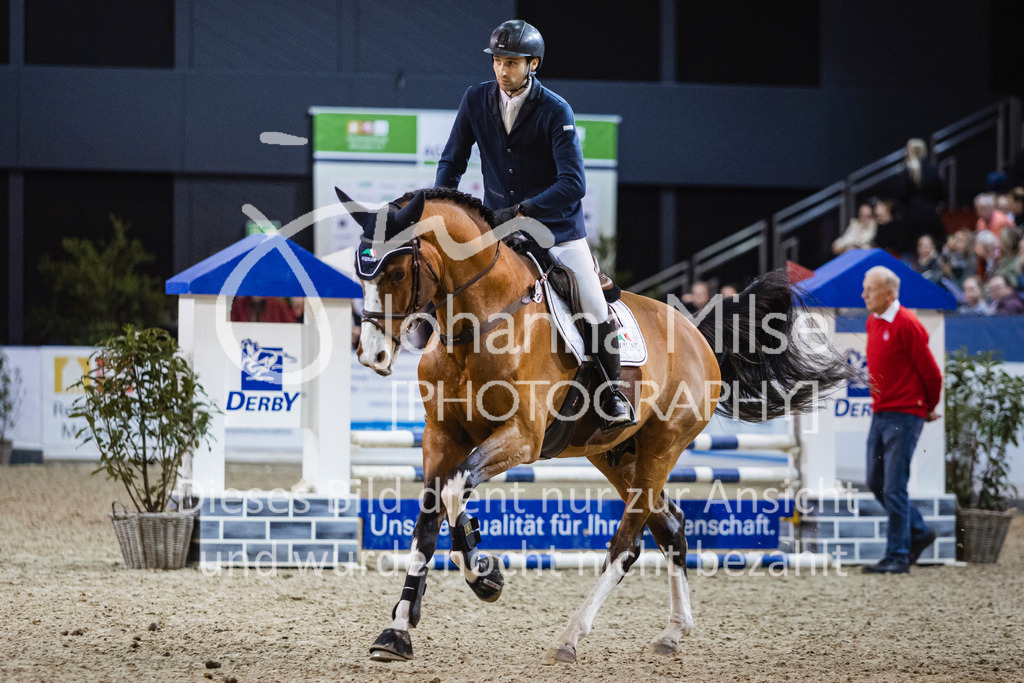 250108_Muenster_Hengstpräsentation-124 | Deine schönsten Turniermomente als professionelle Fotos! Entdecke hochwertige Pferdesport-Fotografie im Online-Shop. Jetzt Fotos finden & bestellen!