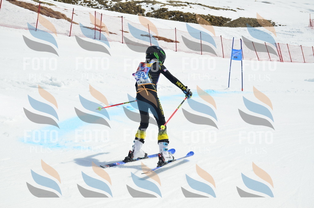 _ELE1317 | holidayphoto