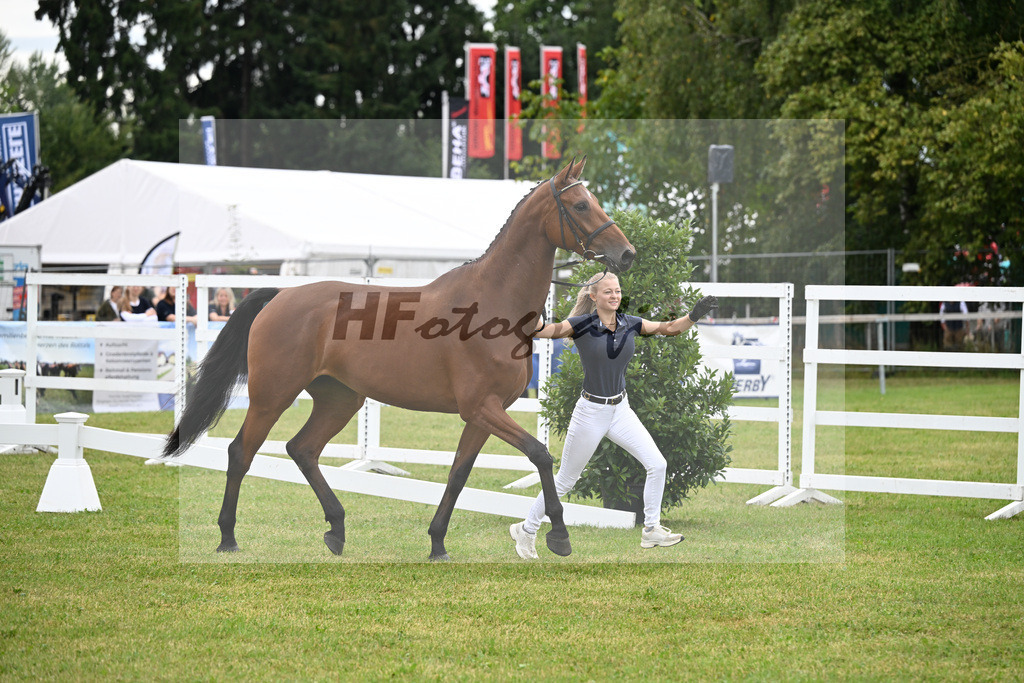Kat-Nr. 18 Verona M v. Vingino_Zuchthof Meindl_30250376 | hf-fotografie - Realisiert mit Pictrs.com