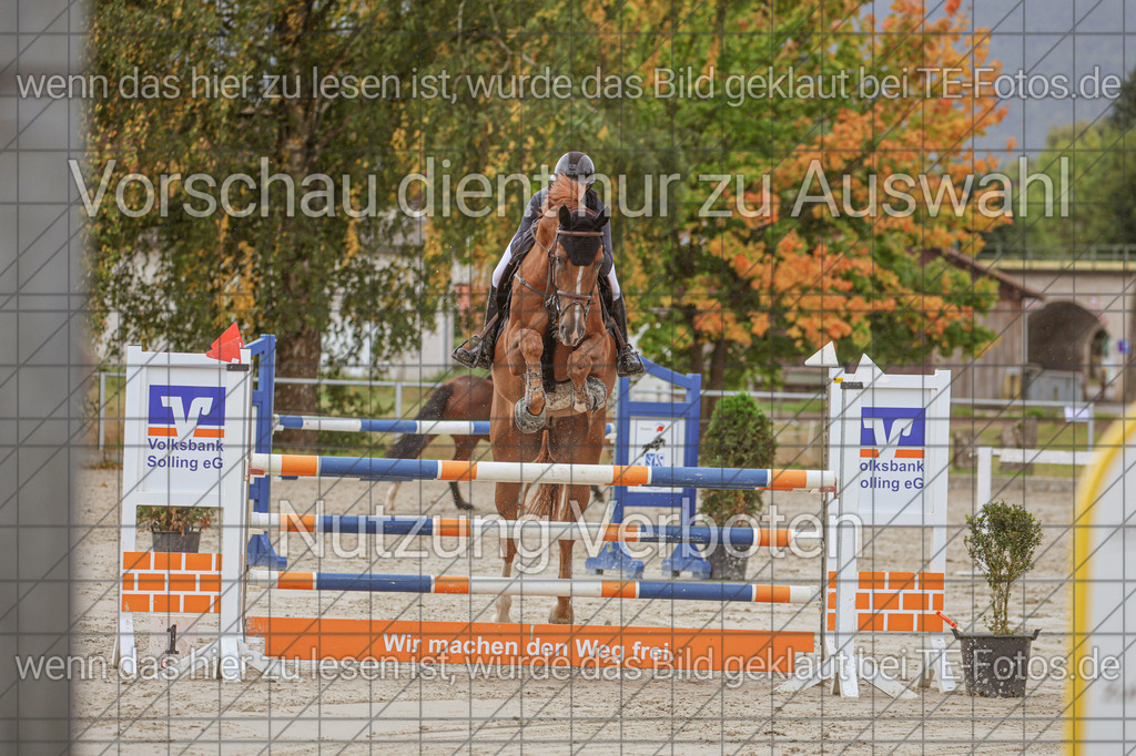 2025-09-22_11-26-21_MG_9876 | TE-Fotos