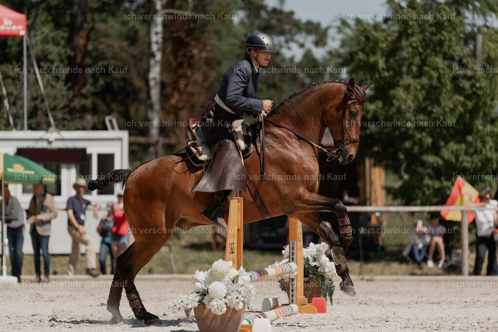 WE_SP_Stoib_313_PI2025_1764 | Pferd International München 2025