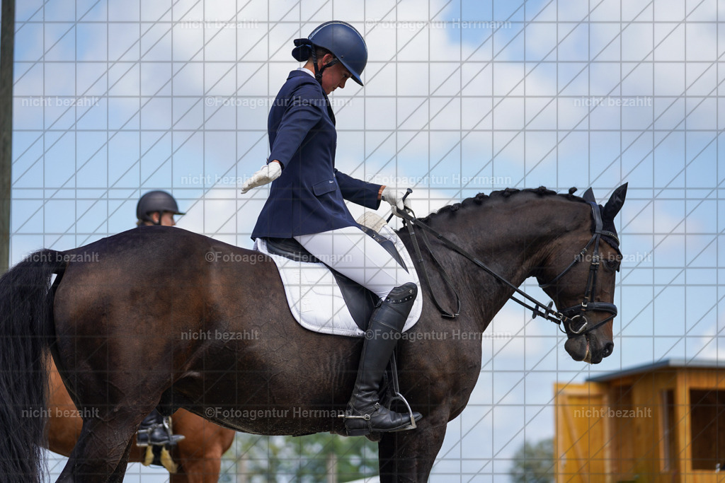 20230826-FAH05545 | Forstinning, 2023, Dressurturnier, Turniersportbilder, Turnierfotografen Bayern, Fotoagentur Herrmann, Reitsportfotografie, Turnierbilder