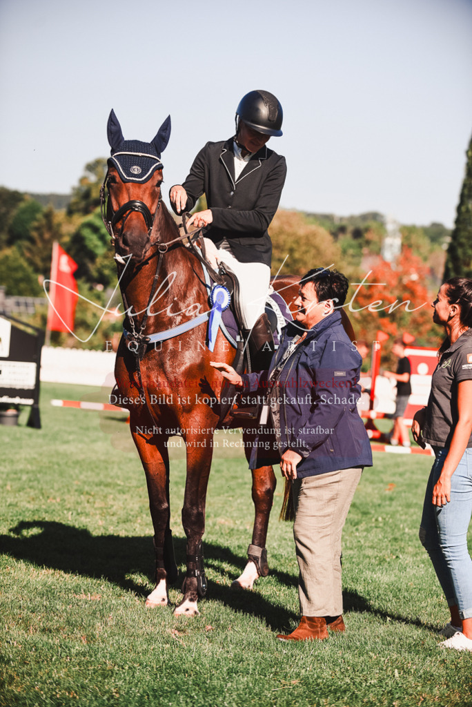 DSC_2308 | Pferde- und Turnierfotografie in Westsachsen. Pferdeportraits, Auftragszeichnungen und intuitive Kunst.