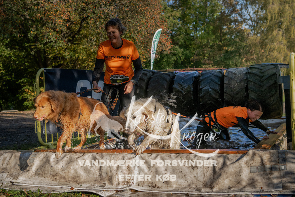 0947_ZZ91894 | kk-dogfotos