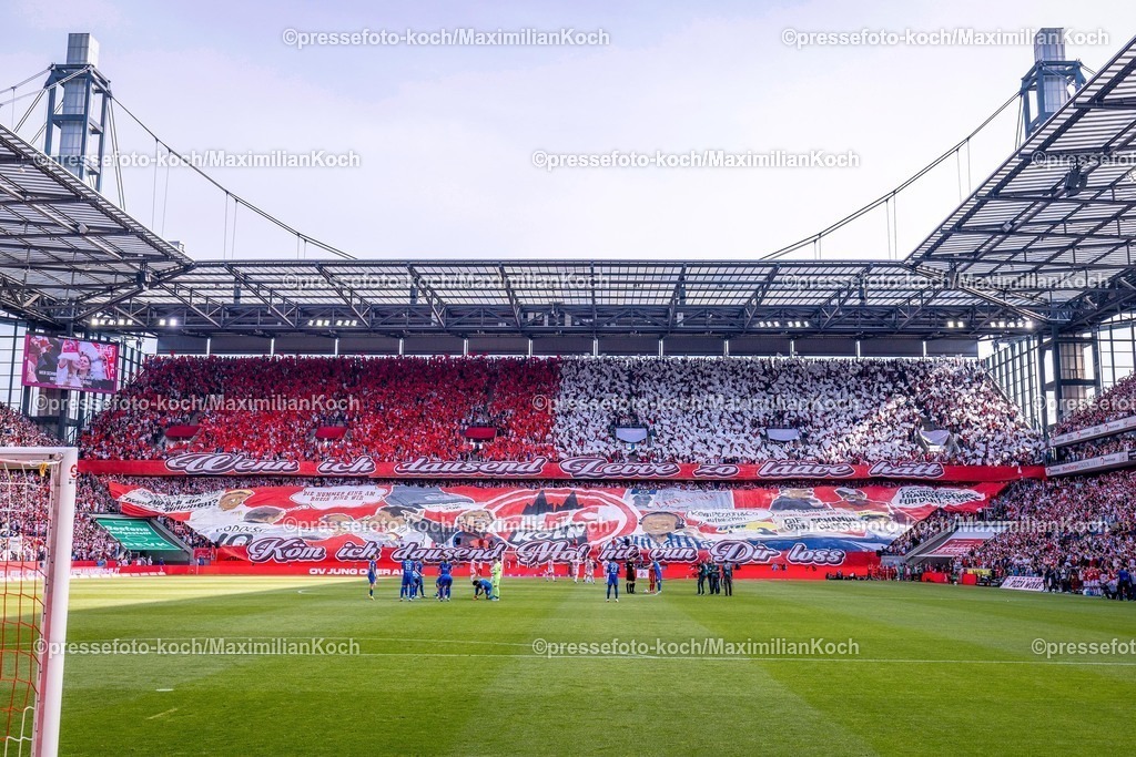 1FC10052601016 | 10.05.2026, Fußball, 1. FC Köln - 1. FC Heidenheim, 1. Fußball Bundesliga Herren, 33. Spieltag, RheinEnergie-STADION, Saison 2025 / 2026: Choreografie Choreo vor dem Spiel in der Sudkurve Haupttribüne  DFB regulations prohibit any use of photographs as image sequences and or quasi-video.