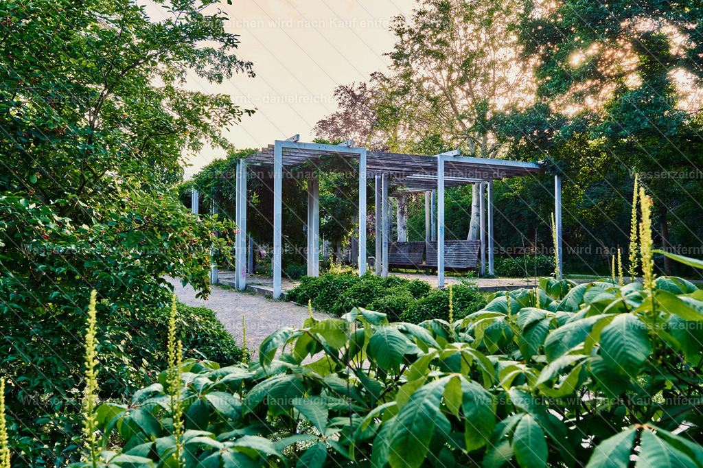 Leipzig Grünau – Pergola im Schönauer Park (Sommer 2021) | Leipzig Grünau – Pergola im Schönauer Park (Sommer 2021) - Realisiert mit Pictrs.com