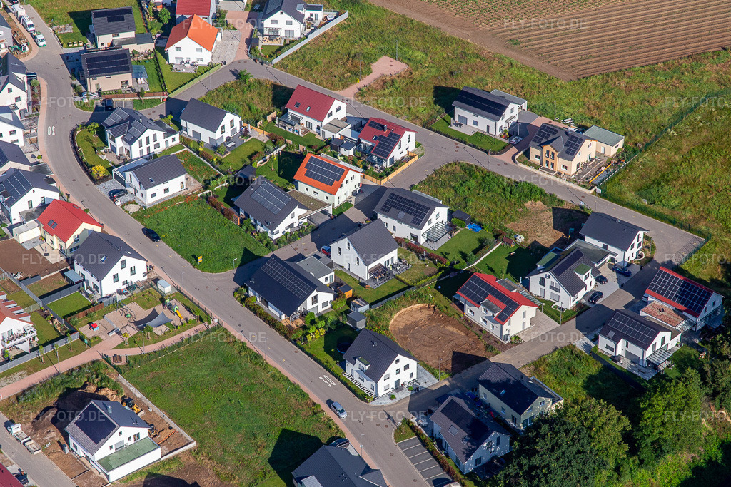 Luftbild: Narzissenweg in Kandel im Bundesland Rheinland-Pfalz in Deutschland. Foto: IMG_141860.jpg vom 18.06.2024 durch Werner Riehm/FLY-FOTO.de
