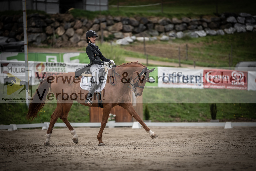 DSC_3031 | equestrian-live-com