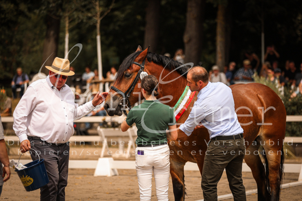 SaSieger00048 | Leoni Ertmer Photography - Realisiert mit Pictrs.com