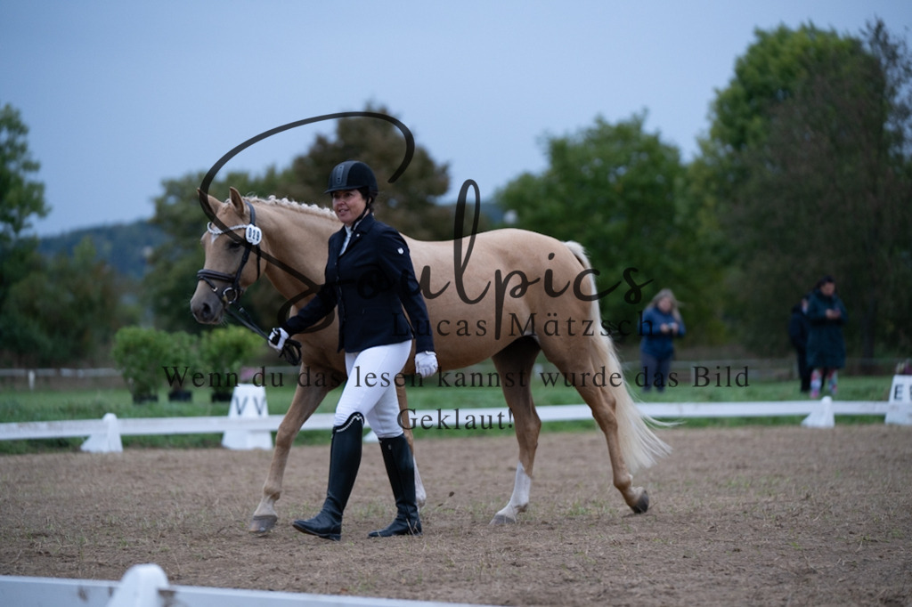 A7V04874 | Pferdefotograf