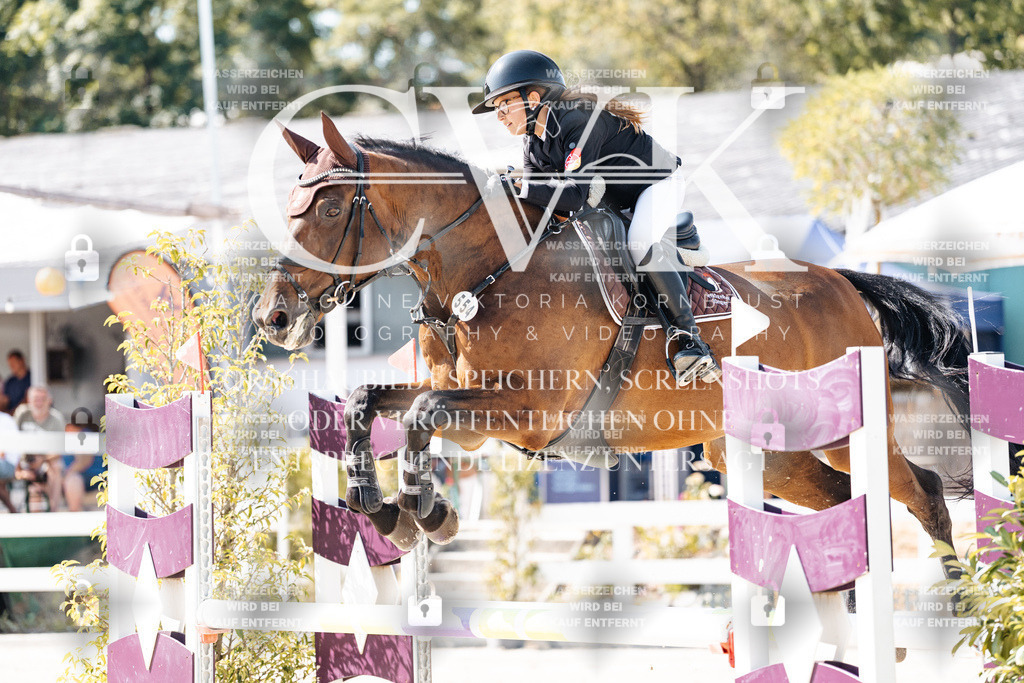 CK908638 | Turnierfotografie Pferdefotografie Trier Rheinland-Pfalz Pferdesport Reitsport Tierfotografie Sportfotografie Pferdevideo Pferdevideografie Equestrianvideography equestrianphotography  - Realisiert mit Pictrs.com