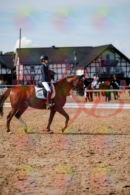2026_10_03_Siefer-Hof_132844_Z63_89861255 | Professionelle Reitsport-, Turnier- und Eventfotografie von Robert Broda. Galerien mit ausgewählten und bearbeiteten Bildern direkt online ansehen und bestellen.