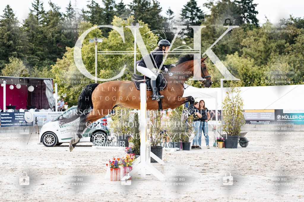 CK903913 | Turnierfotografie Pferdefotografie Trier Rheinland-Pfalz Pferdesport Reitsport Tierfotografie Sportfotografie Pferdevideo Pferdevideografie Equestrianvideography equestrianphotography  - Realisiert mit Pictrs.com