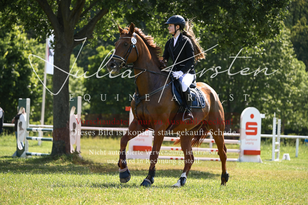DSC_8866 | Pferde- und Turnierfotografie in Westsachsen. Pferdeportraits, Auftragszeichnungen und intuitive Kunst.