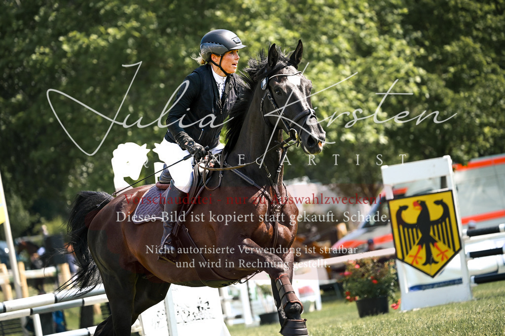 DSC_8951 | Pferde- und Turnierfotografie in Westsachsen. Pferdeportraits, Auftragszeichnungen und intuitive Kunst.