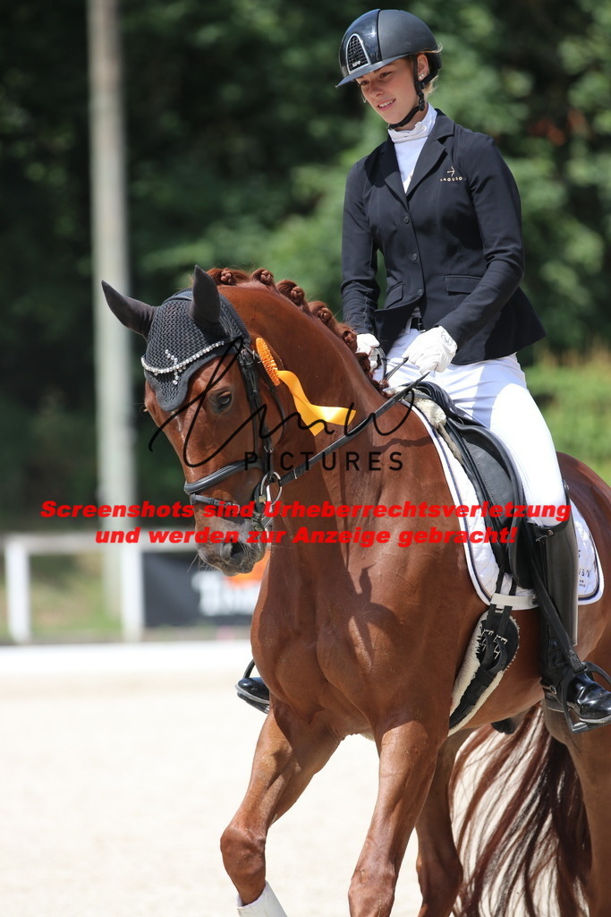 IMG_4668 | lmwpictures - Realisiert mit Pictrs.com