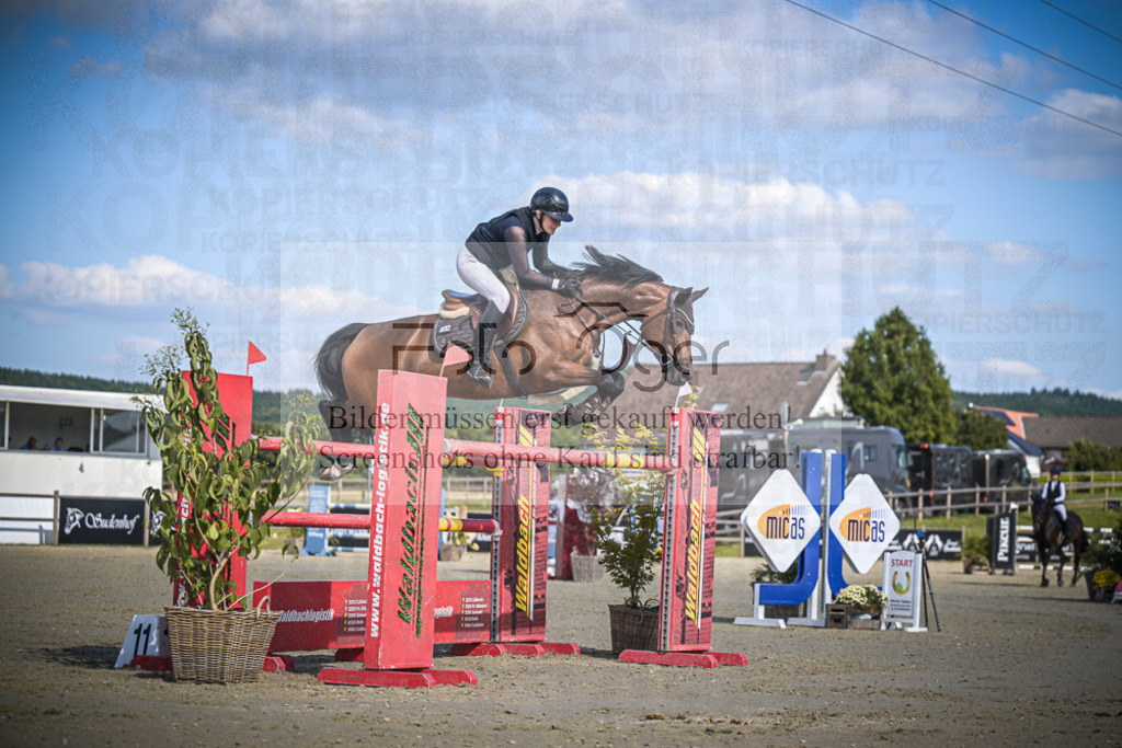 DOS_0268 | Entdecke hochwertige Reitturnierfotos von Foto Oger. Professionell, emotional und authentisch – jetzt Lieblingsmomente im Shop bestellen.Deutschlandweite Turnierfotografie. - Realisiert mit Pictrs.com