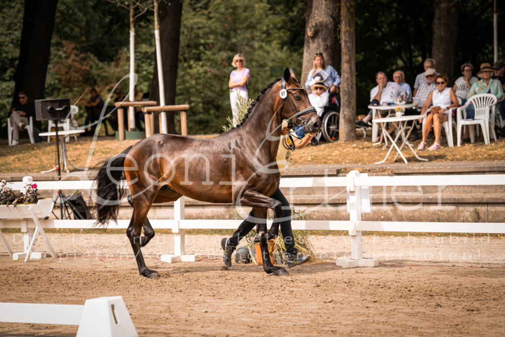 5.Fr00075 | Leoni Ertmer Photography - Realisiert mit Pictrs.com