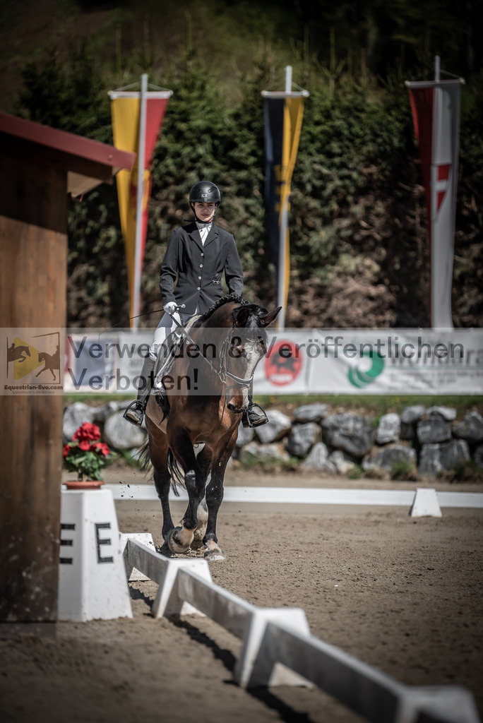 DSC_0284 | equestrian-live-com