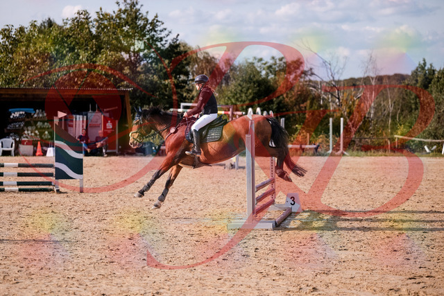2026_10_03_Siefer-Hof_154640_Z81_65410607 | Professionelle Reitsport-, Turnier- und Eventfotografie von Robert Broda. Galerien mit ausgewählten und bearbeiteten Bildern direkt online ansehen und bestellen.