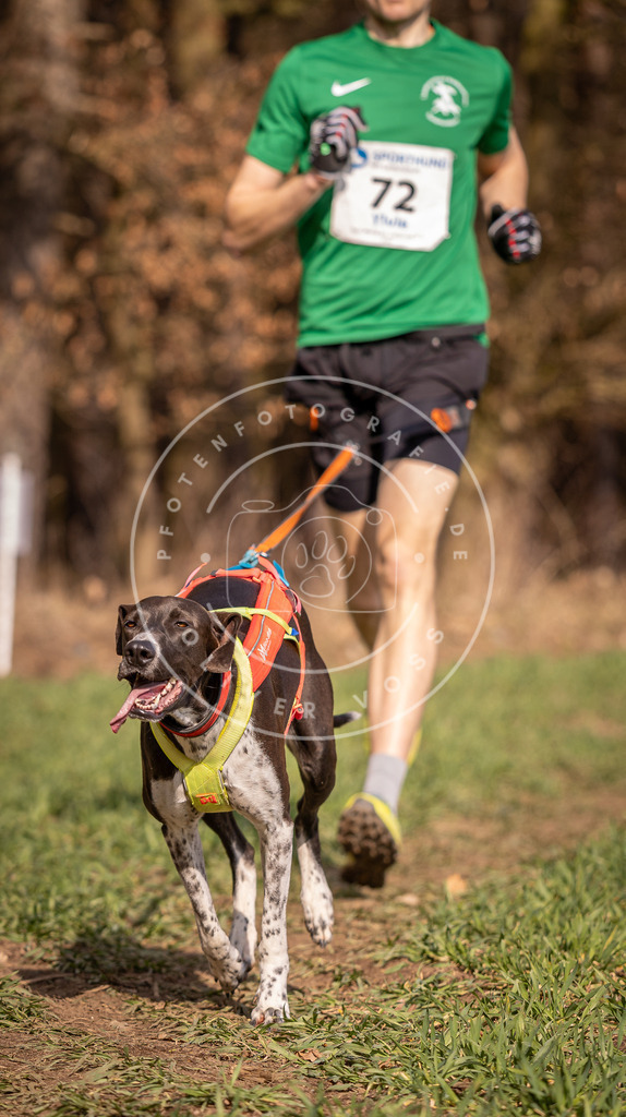 DV3A6212 | Hundefotografie, Tierfotograf, Pfotenfotografie, Fotoshooting Hund, Hunde Portrait, Hundesport, Hundeportraits, Heideshooting, Hunde, Sportfotograf, Hundefotograf, Turnierhundsport, THS,  - Realisiert mit Pictrs.com