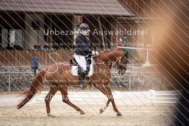 SD_OED_03669 | saradresslerfotografie - Realisiert mit Pictrs.com