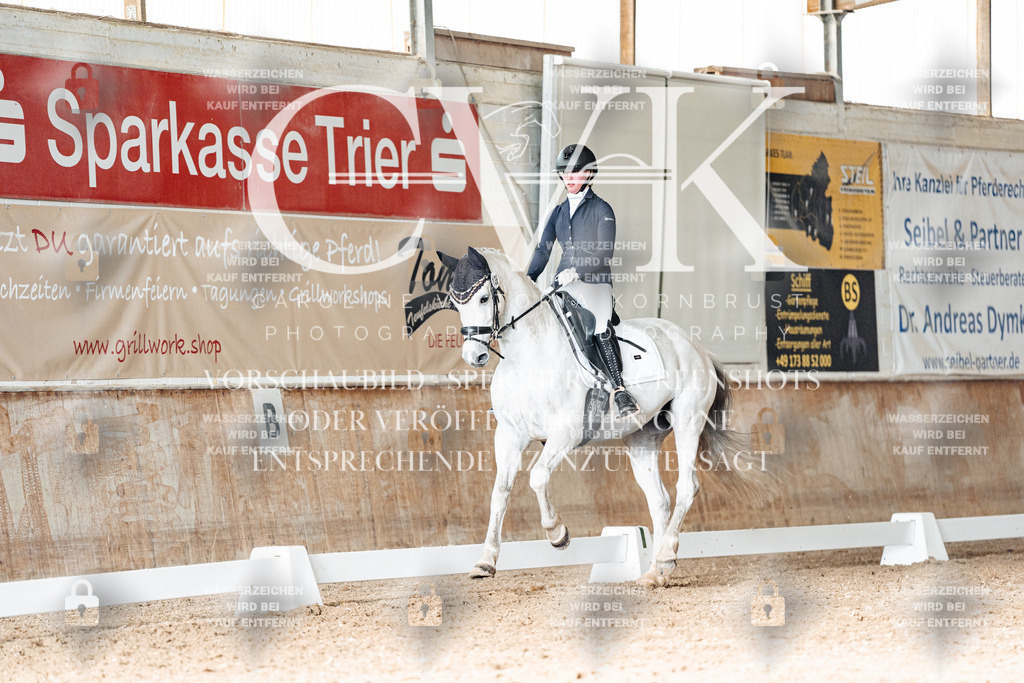 CK902593 | Turnierfotografie Pferdefotografie Trier Rheinland-Pfalz Pferdesport Reitsport Tierfotografie Sportfotografie Pferdevideo Pferdevideografie Equestrianvideography equestrianphotography  - Realisiert mit Pictrs.com
