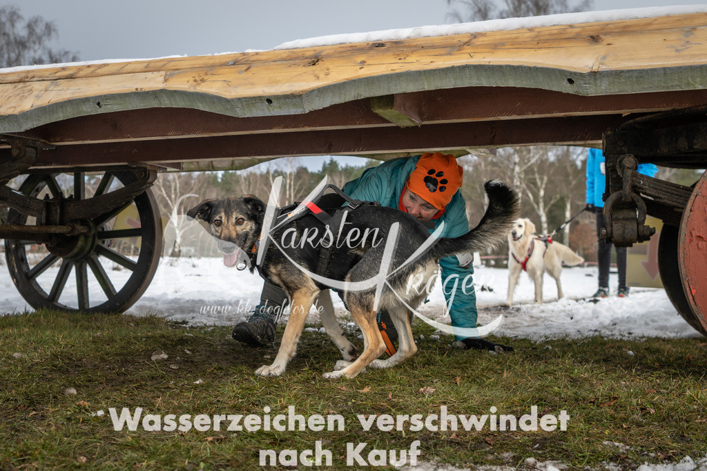 0931_ZZ90627 | kk-dogfotos