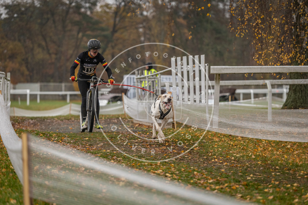 CaniXpix_DV3A7642 | Hundefotografie, Tierfotograf, Pfotenfotografie, Fotoshooting Hund, Hunde Portrait, Hundesport, Hundeportraits, Heideshooting, Hunde, Sportfotograf, Hundefotograf, Turnierhundsport, THS,  - Realisiert mit Pictrs.com