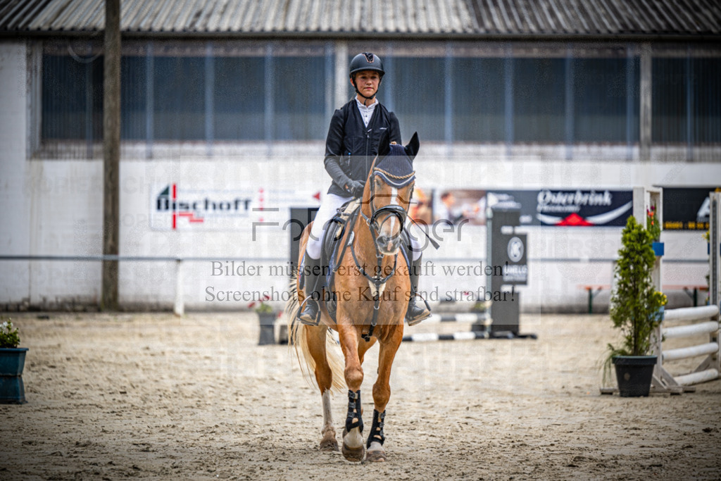 Turnier Laggenbeck 2026-15-0198 | Entdecke hochwertige Reitturnierfotos von Foto Oger. Professionell, emotional und authentisch – jetzt Lieblingsmomente im Shop bestellen.Deutschlandweite Turnierfotografie. - Realisiert mit Pictrs.com