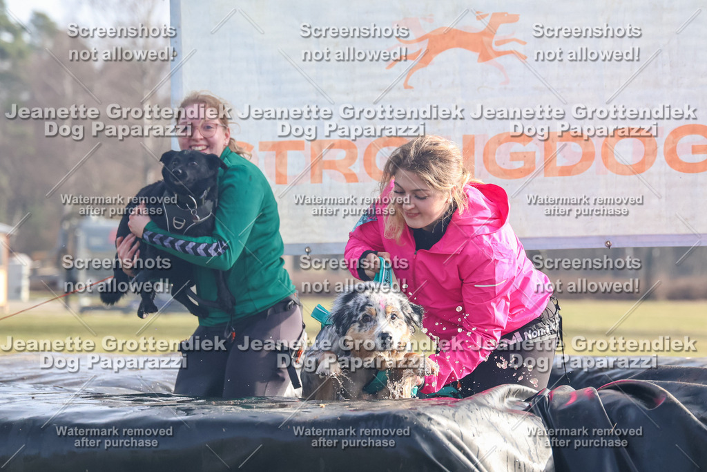 Dog Paparazzi - Strongdog North Mrz26-349 | Dog Paparazzi Jeanette Grottendiek Fotografie & Videografie - Realisiert mit Pictrs.com