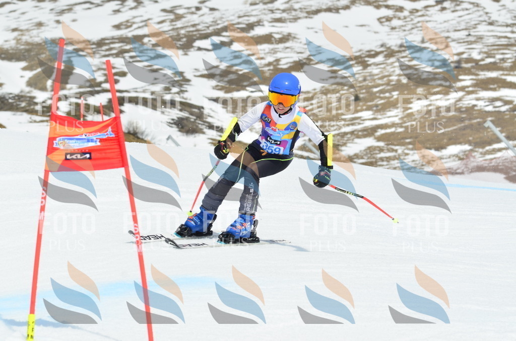 _ELE2821 | holidayphoto