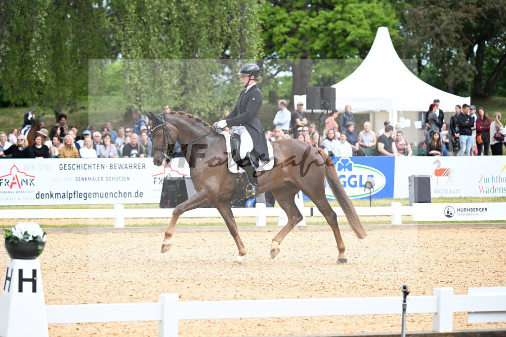 Fuchs_DSP Dimanche Royal_11255938 | hf-fotografie - Realizzato con Pictrs.com