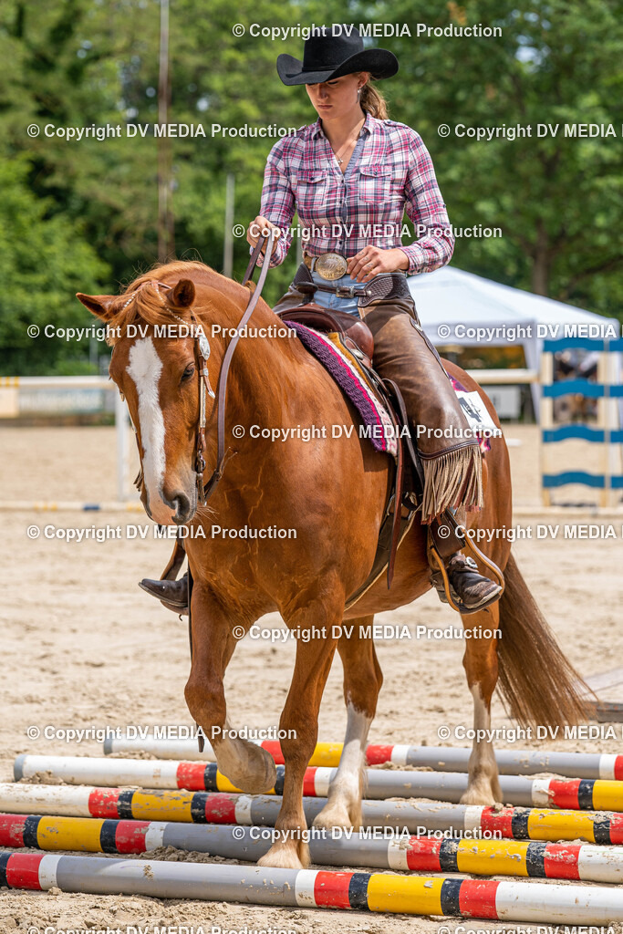 Zeiskam Tag 2-2792 | dv-media-shop - Realisiert mit Pictrs.com