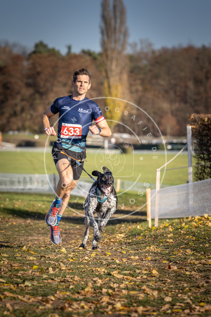 CaniXpix_DV3A0169 | Hundefotografie, Tierfotograf, Pfotenfotografie, Fotoshooting Hund, Hunde Portrait, Hundesport, Hundeportraits, Heideshooting, Hunde, Sportfotograf, Hundefotograf, Turnierhundsport, THS,  - Realisiert mit Pictrs.com