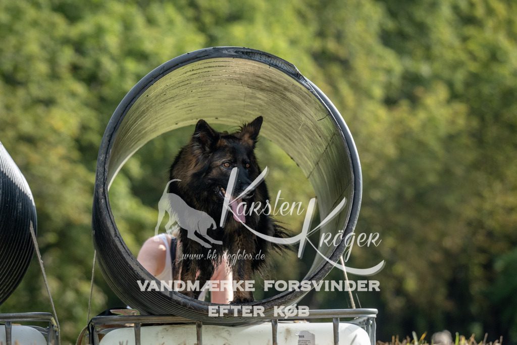 0932_ZZ90624 | kk-dogfotos