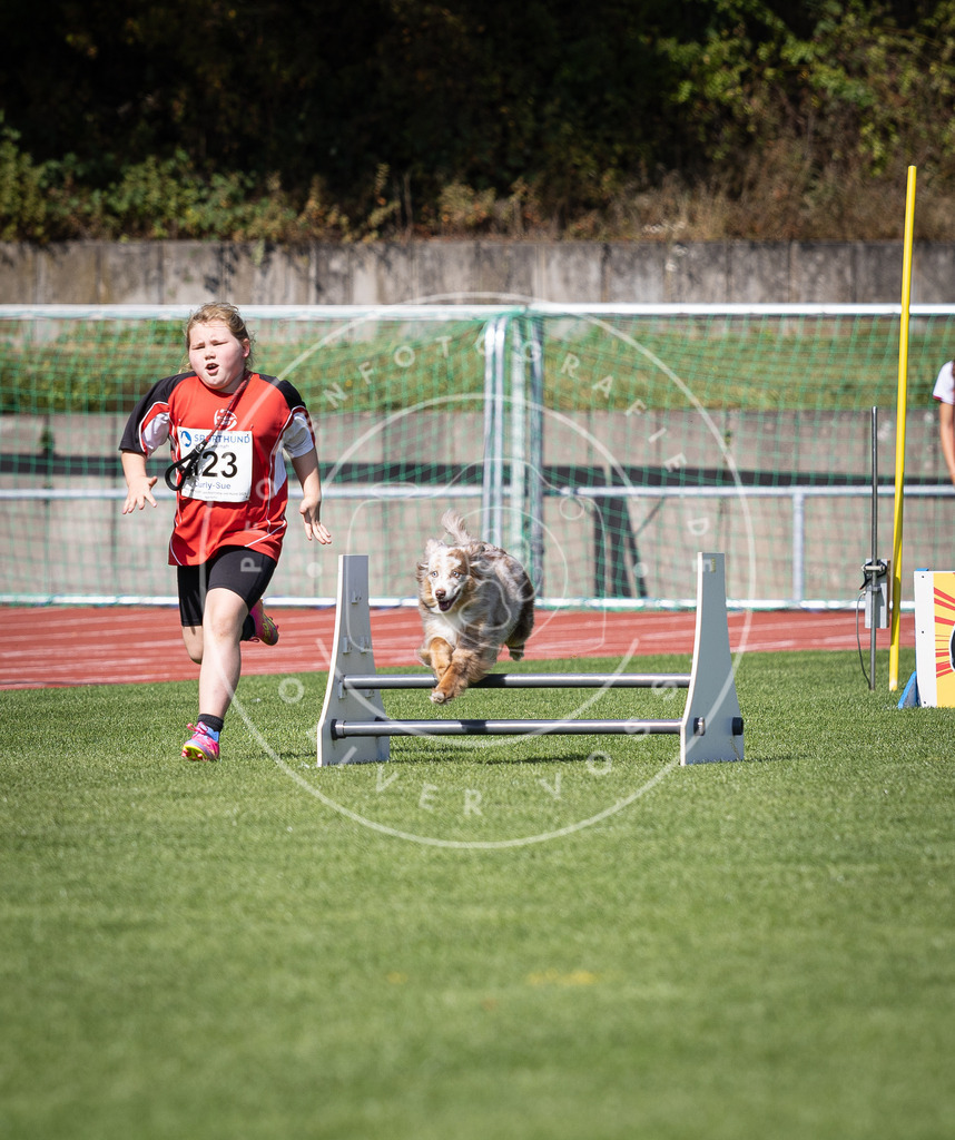 Pfotenfotografie_DV3A8545 | Hundefotografie, Tierfotograf, Pfotenfotografie, Fotoshooting Hund, Hunde Portrait, Hundesport, Hundeportraits, Heideshooting, Hunde, Sportfotograf, Hundefotograf, Turnierhundsport, THS,  - Realisiert mit Pictrs.com