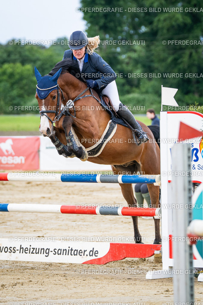 DSC03388 | Pferdegrafie