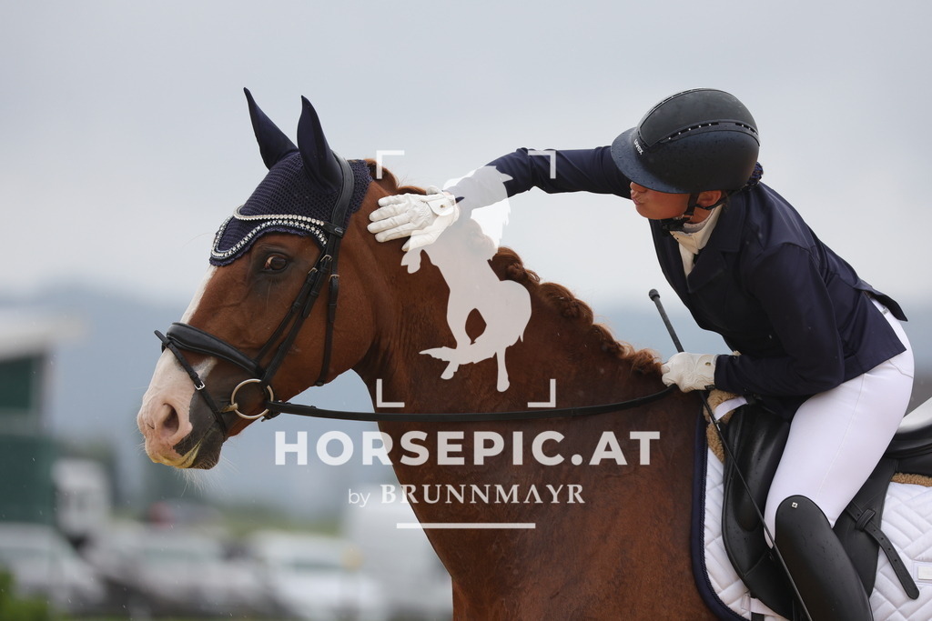 0P6A0043 | Willkommen bei Brunnmayr - Design & Fotografie – Ihrem Spezialisten für Reitturniere und Pferdeveranstaltungen in Oberösterreich, Salzburg und Bayern! Seit über 17 Jahren sind wir leidenschaftlich dabei.