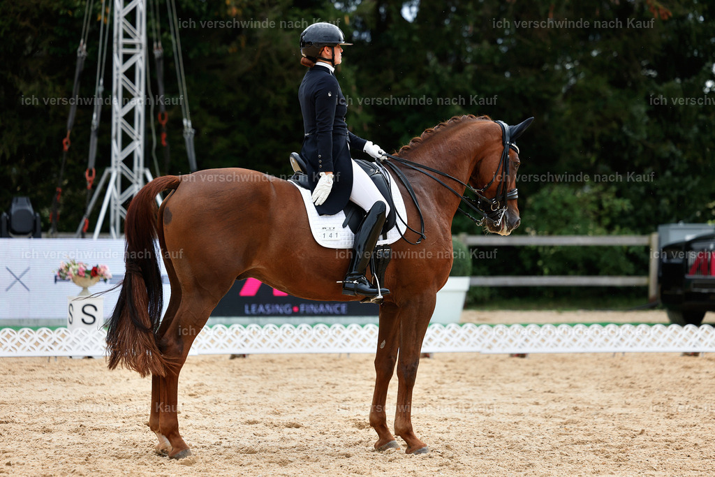 11-141-Dressur S___-Marixx-1857 | working equitationturnier fotograf videograf stoibphotography marixx film working equitation deutschland reitsport turnierfotografie eventfotografie equestrian events