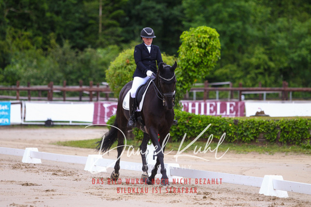 DKP46648 | Turniersportfotografie; Pferdefotografie; Dressurfotografie