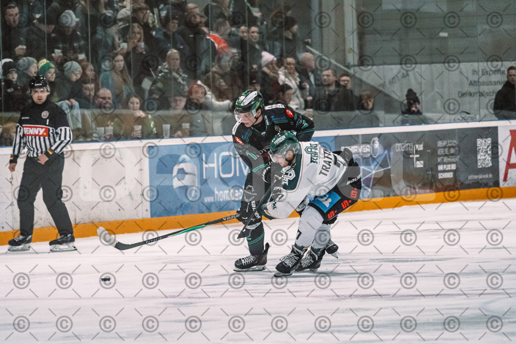Alligators_vs_Erding_12_12_2025-101 | Höchstadt Alligators Fotogalerie: Eishockey-Action aus Franken. Professionelle Spielfotos, Portraits & Stadionbilder zum Download. Jetzt entdecken! - Realisiert mit Pictrs.com