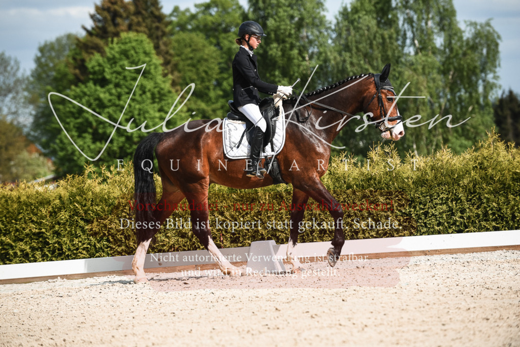 20230518_JK-Röhrsdorf-12-0122 | Pferde- und Turnierfotografie in Westsachsen. Pferdeportraits, Auftragszeichnungen und intuitive Kunst.