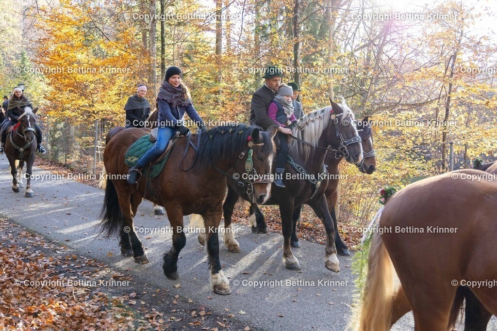 LL24-315 | foto-bettina-krinner - Realisiert mit Pictrs.com