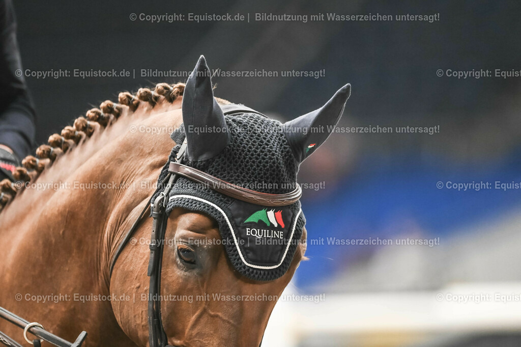 20231116_PREIS DER BARDUSCH GMBH_0119_TOMsPiC | Foto: Thomas Hartig